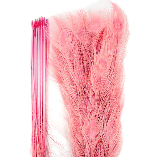 Peacock Feathers | 25-40" Tail Eyes | Candy Pink