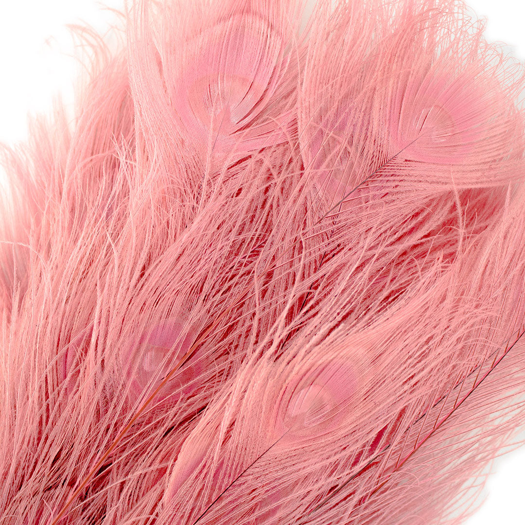 Peacock Feathers | 25-40" Tail Eyes | Candy Pink