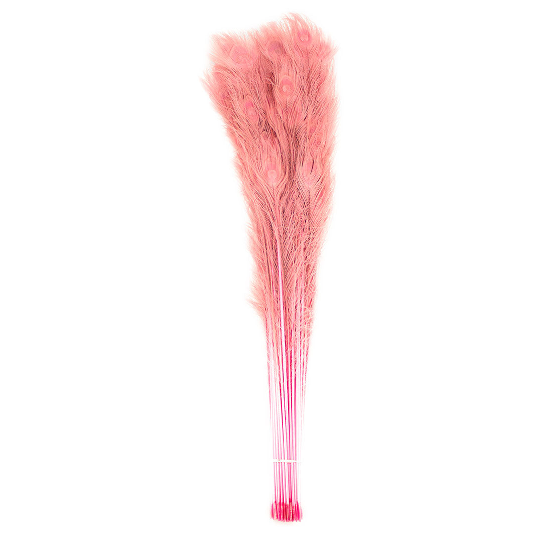 Peacock Feathers (Bulk) | 25-40" Tail Eyes | Candy Pink