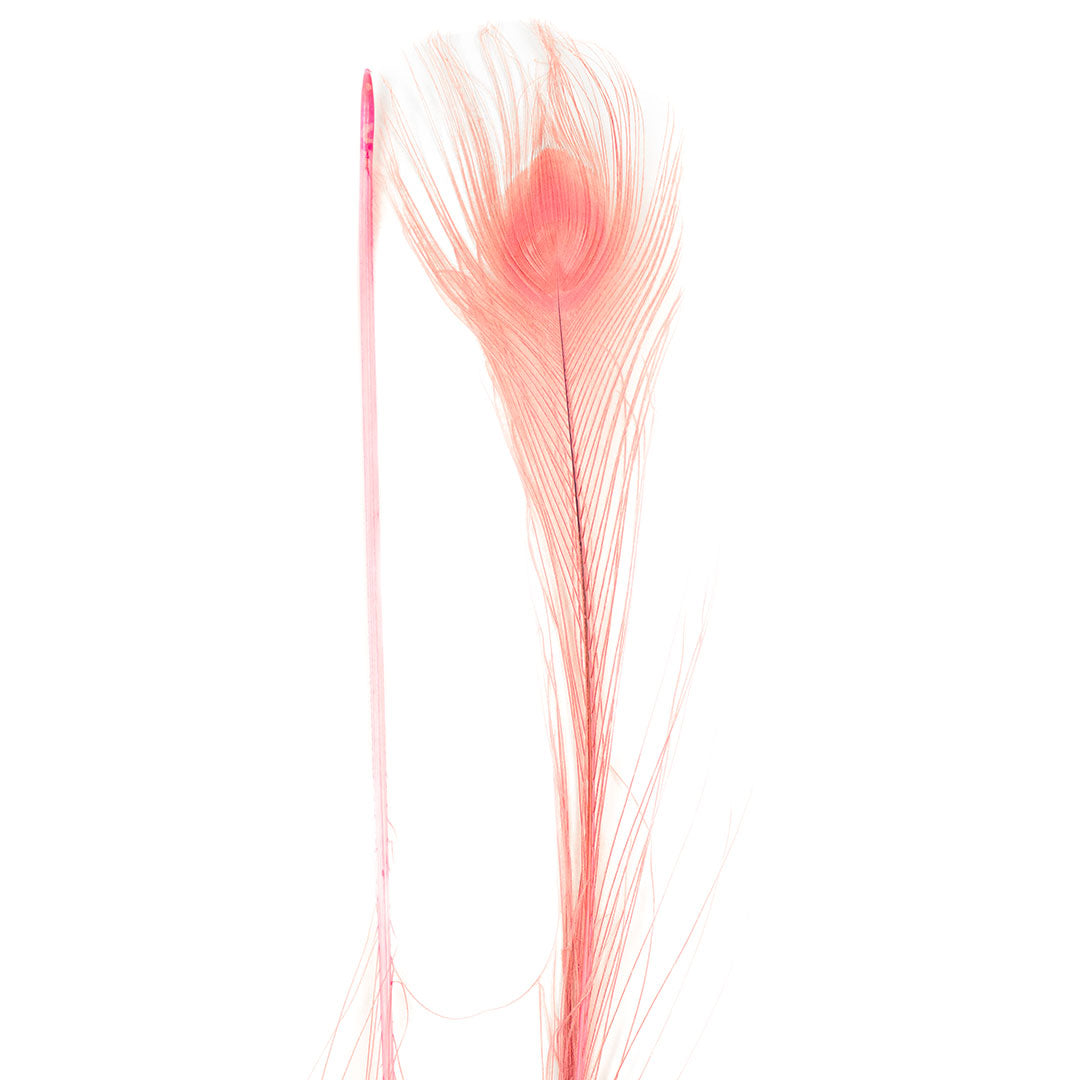 Peacock Feathers (Bulk) | 25-40" Tail Eyes | Candy Pink