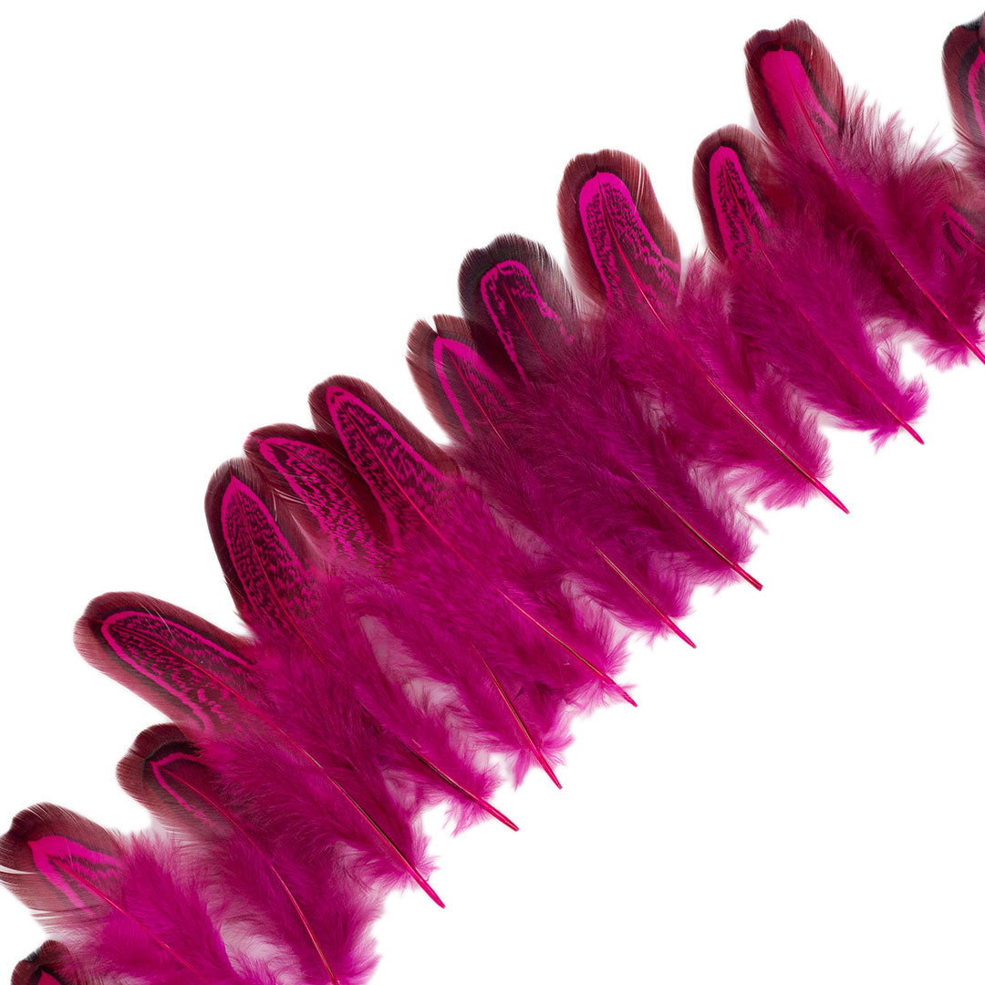 Shocking Pink Almond Ringneck Pheasant Loose Plumage 2-3 inch