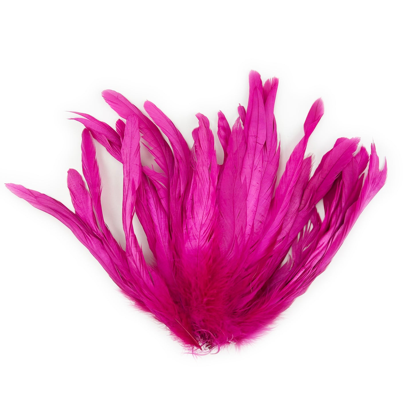 ROOSTER COQUE TAIL FEATHERS BLEACH DYED 7-10” - 25 PC/PKG - Shocking Pink