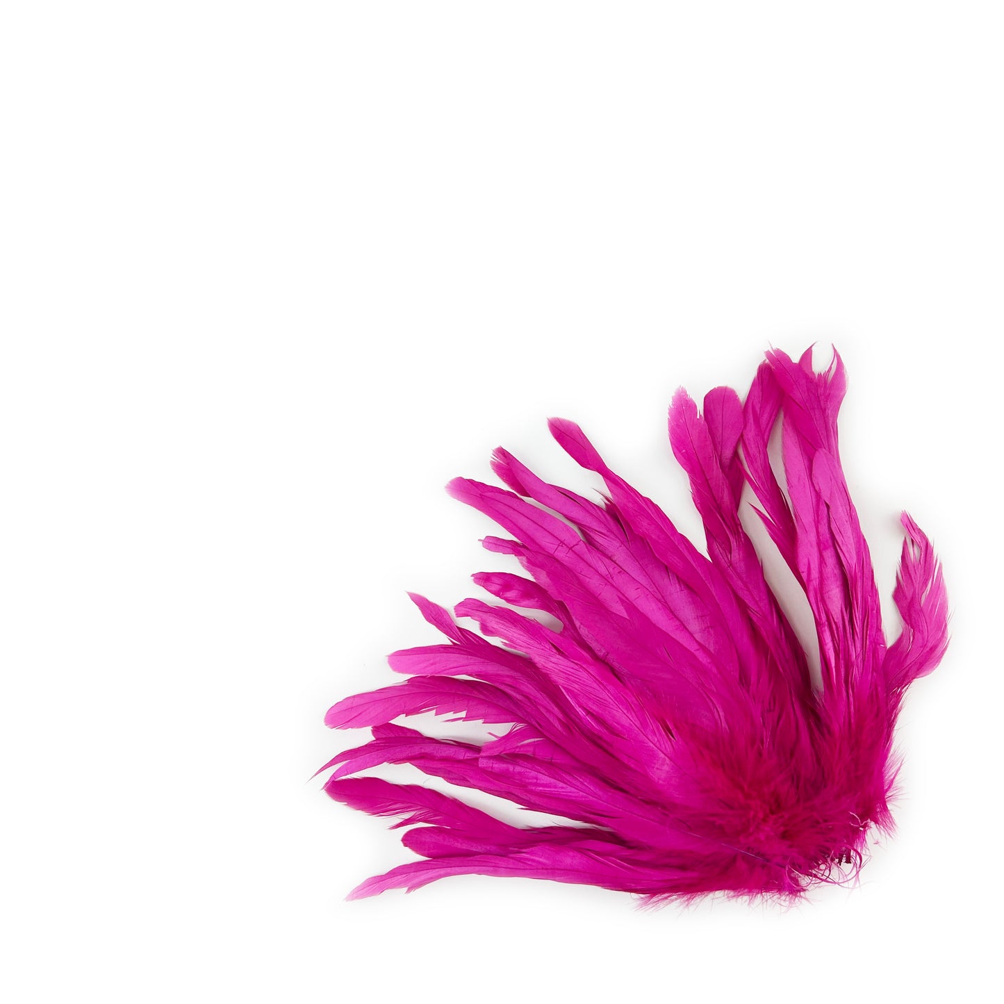 ROOSTER COQUE TAIL FEATHERS BLEACH DYED 7-10” - 25 PC/PKG - Shocking Pink