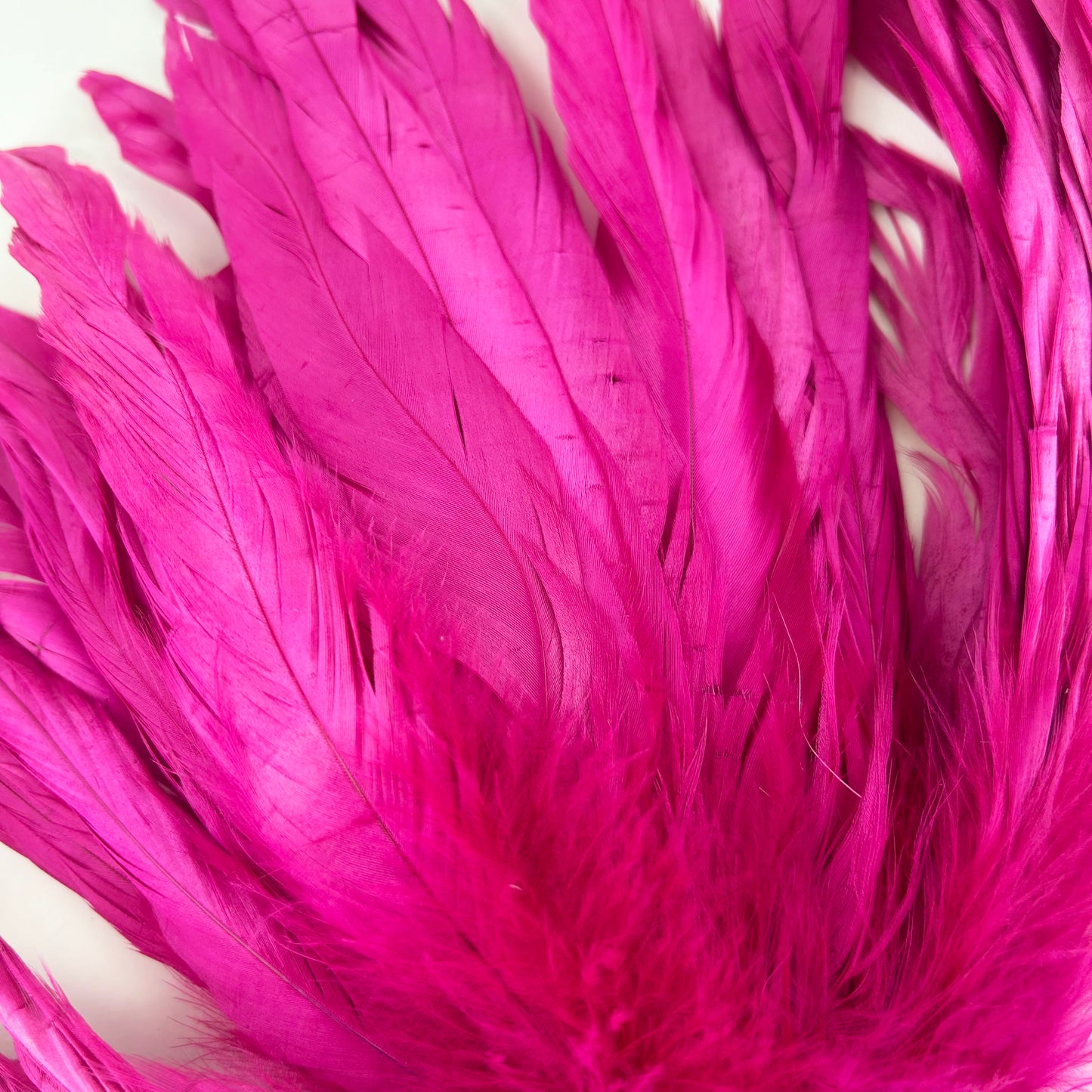 ROOSTER COQUE TAIL FEATHERS BLEACH DYED 7-10” - 25 PC/PKG - Shocking Pink