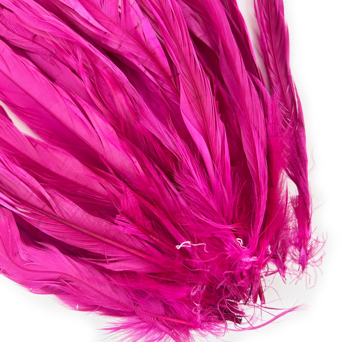 ROOSTER COQUE TAIL FEATHERS BLEACH DYED 7-10” - 25 PC/PKG - Shocking Pink