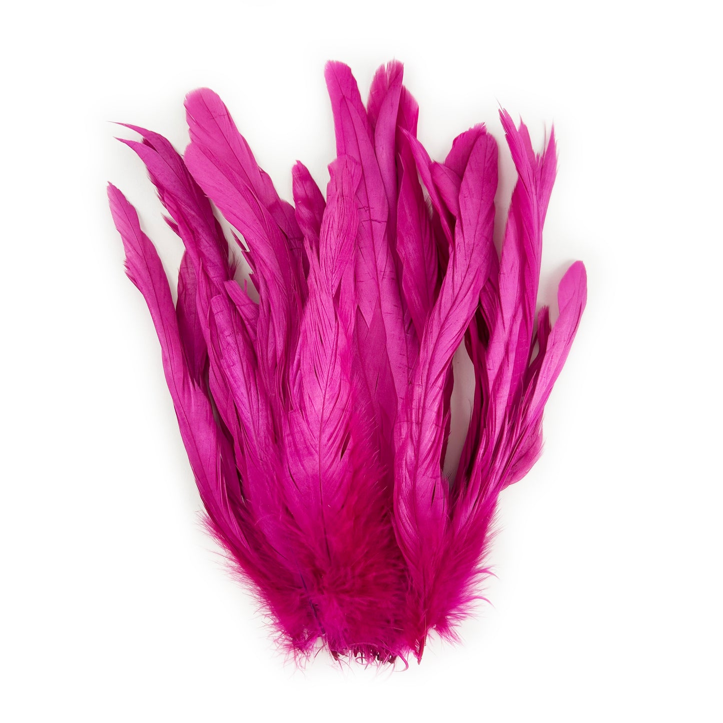 ROOSTER COQUE TAIL FEATHERS BLEACH DYED 7-10” - 25 PC/PKG - Shocking Pink