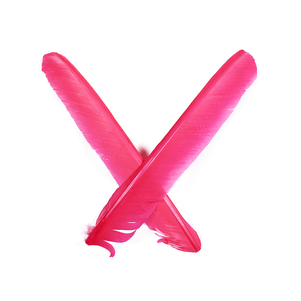 Shocking Pink Cut Turkey Pointer Feathers 8-12"