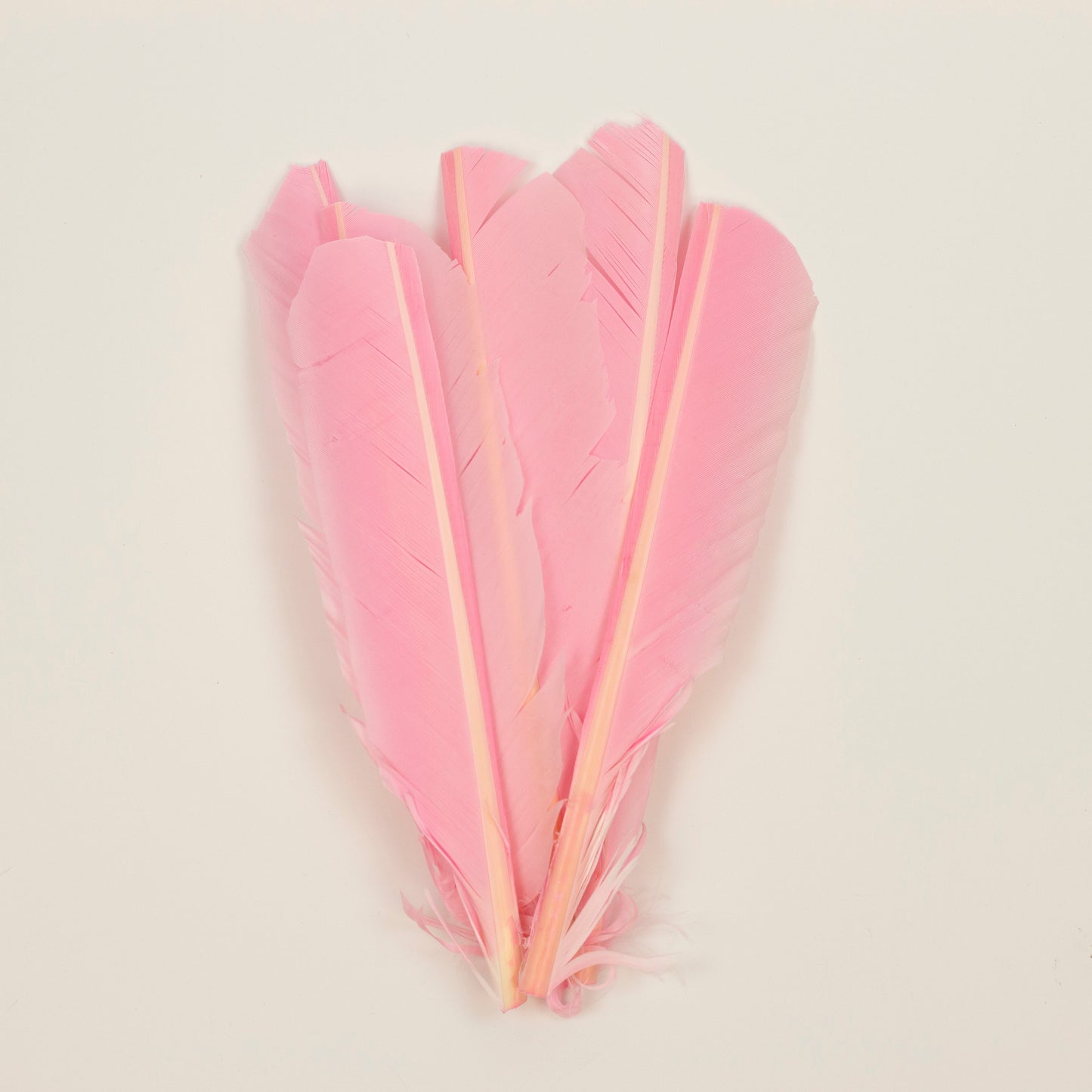 Candy Pink Cut Turkey Pointer Feathers 8-12"