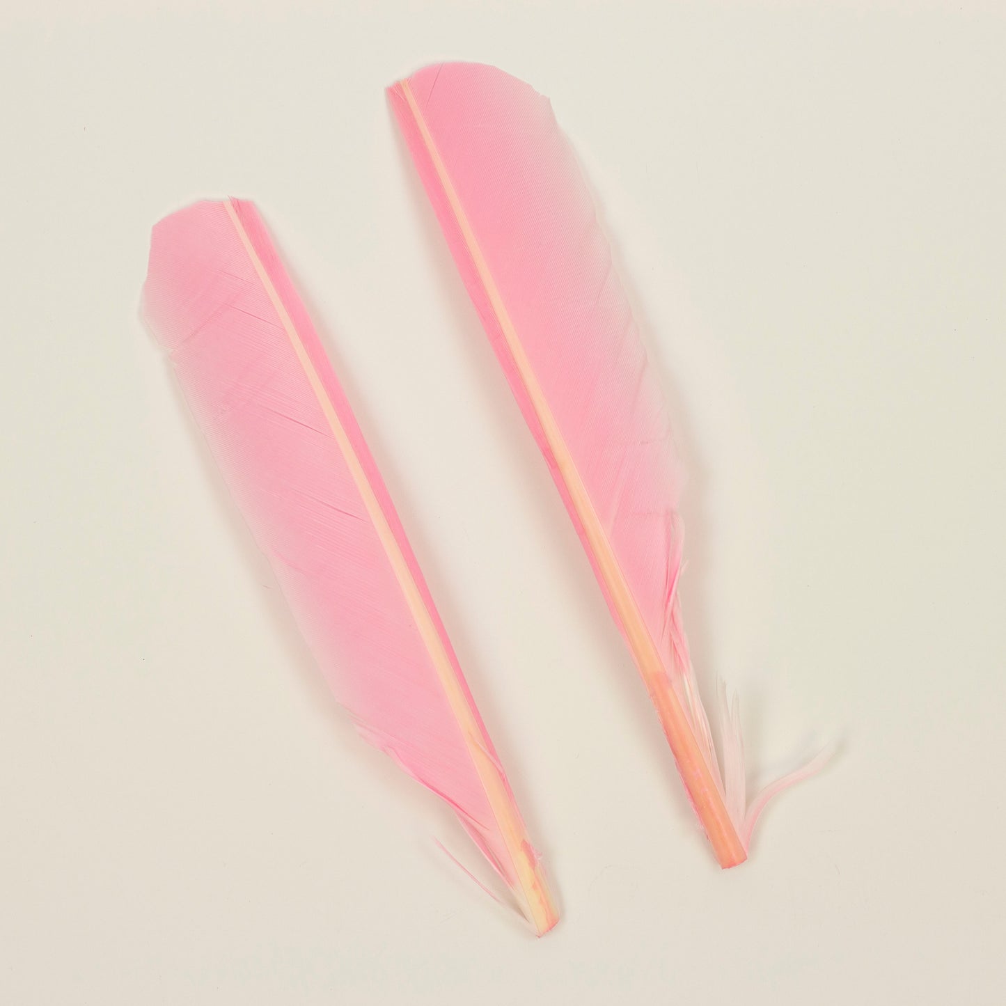 Candy Pink Cut Turkey Pointer Feathers 8-12"