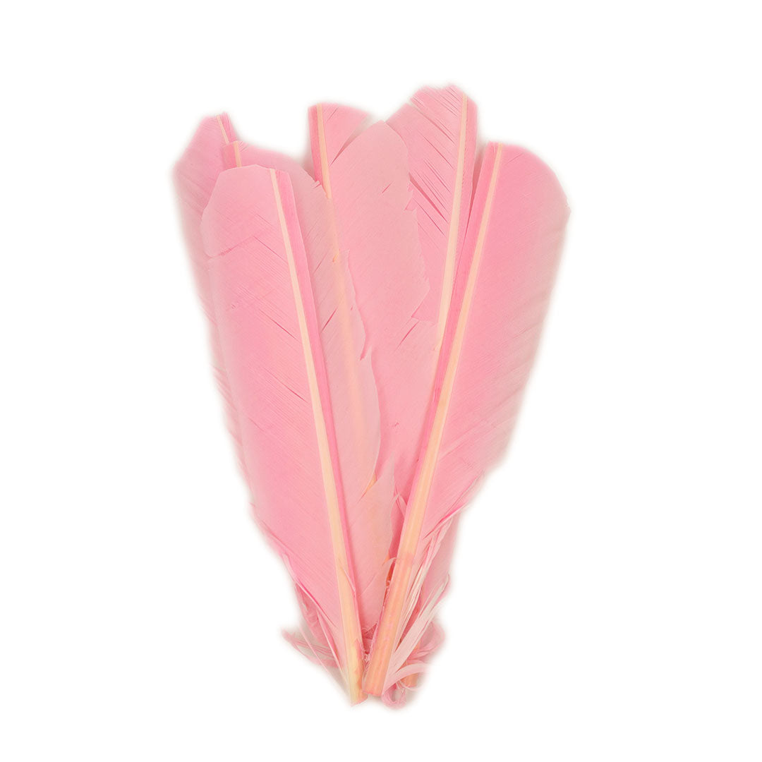 Candy Pink Cut Turkey Pointer Feathers 8-12"