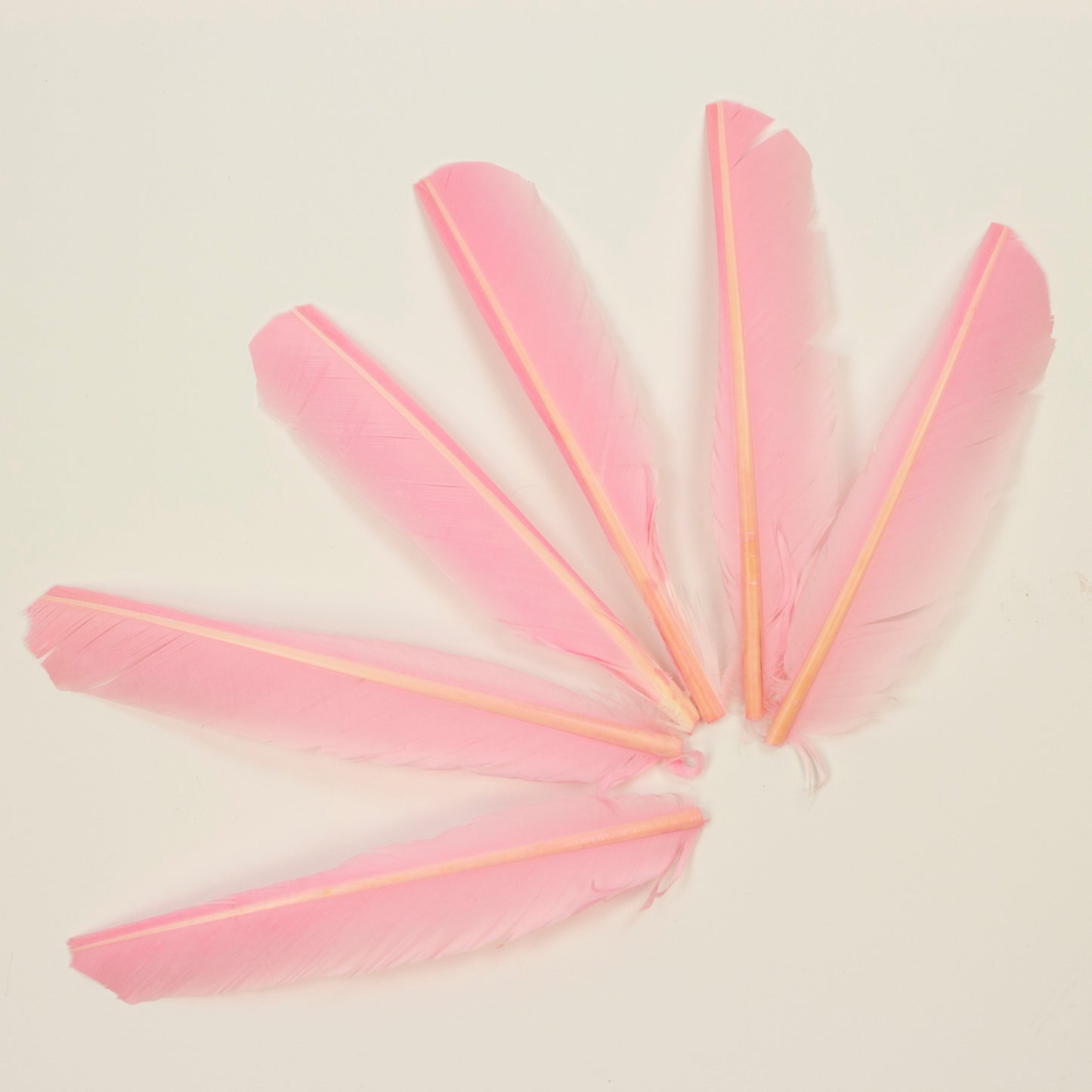 Candy Pink Cut Turkey Pointer Feathers 8-12"