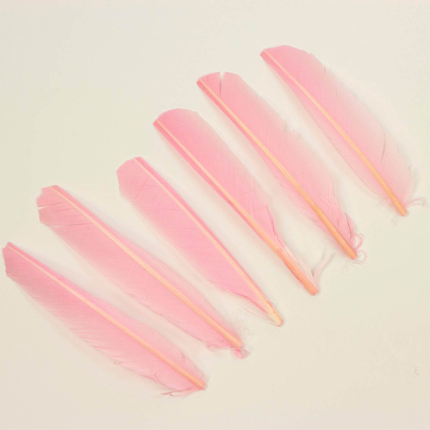 Candy Pink Cut Turkey Pointer Feathers 8-12"