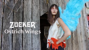 Large Ostrich Feather Wings - Red