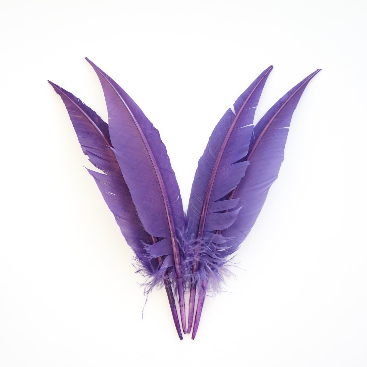 Lavender Dagger Turkey Quill Feathers 9-12"
