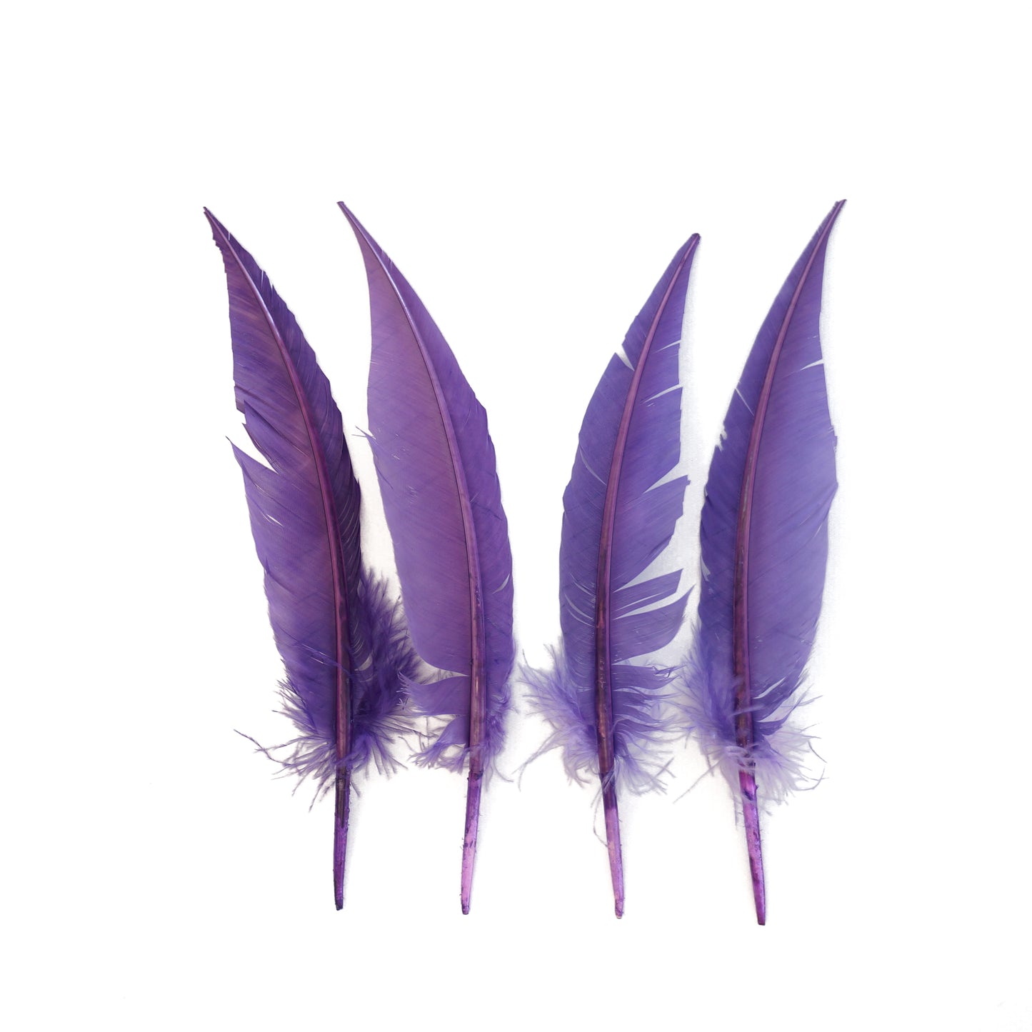 Lavender Dagger Turkey Quill Feathers 9-12"