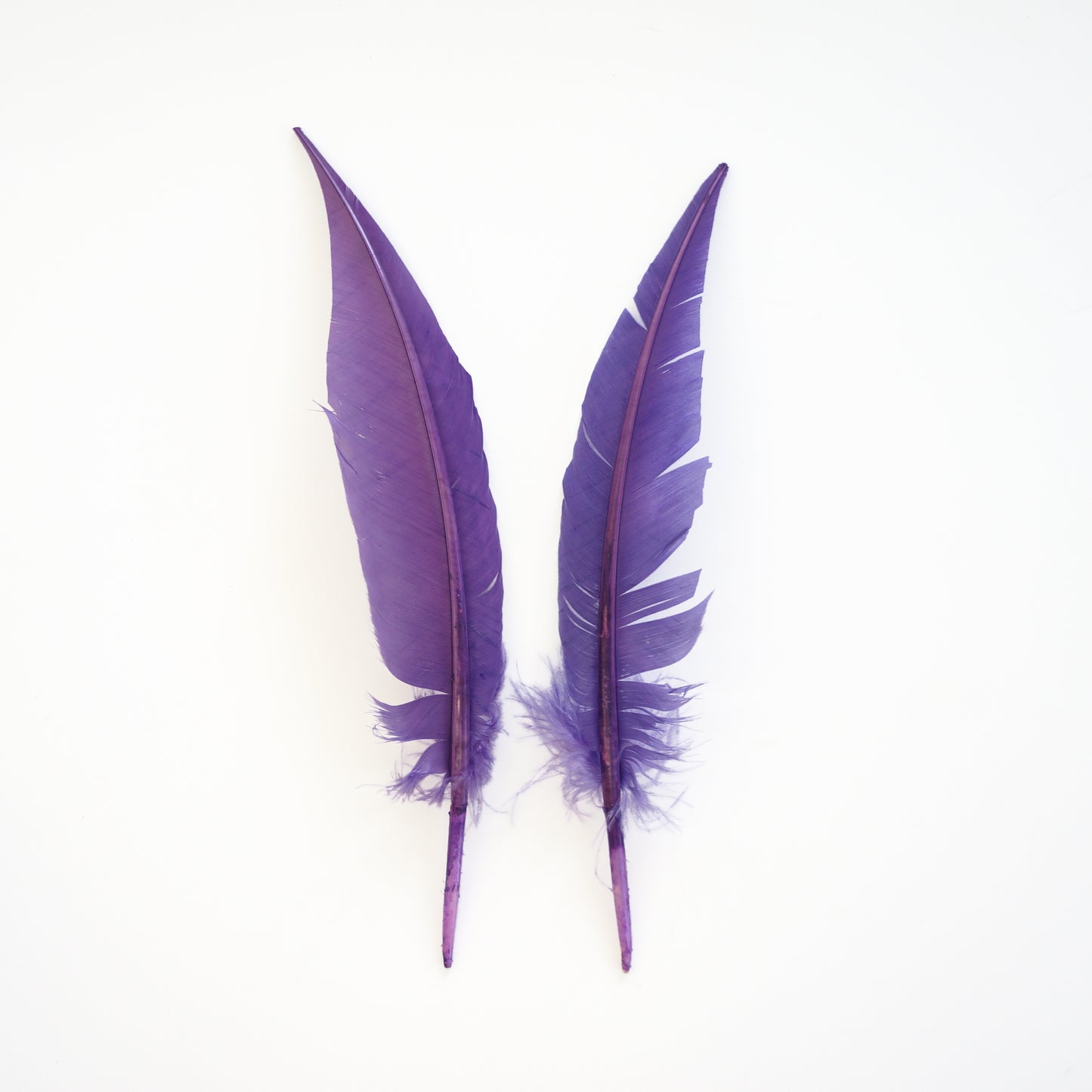 Lavender Dagger Turkey Quill Feathers 9-12"