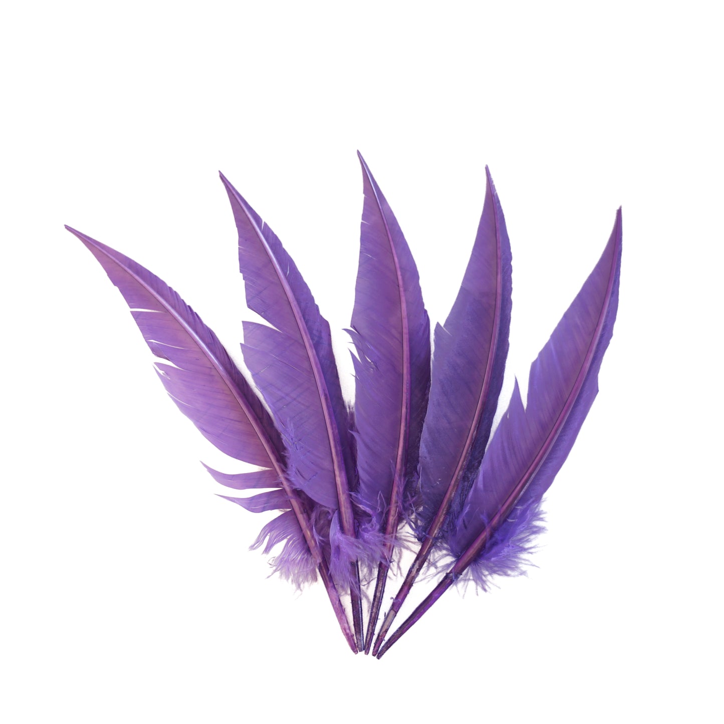 Lavender Dagger Turkey Quill Feathers 9-12"