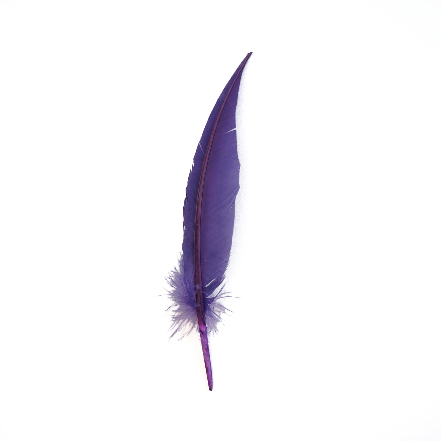 Lavender Dagger Turkey Quill Feathers 9-12"
