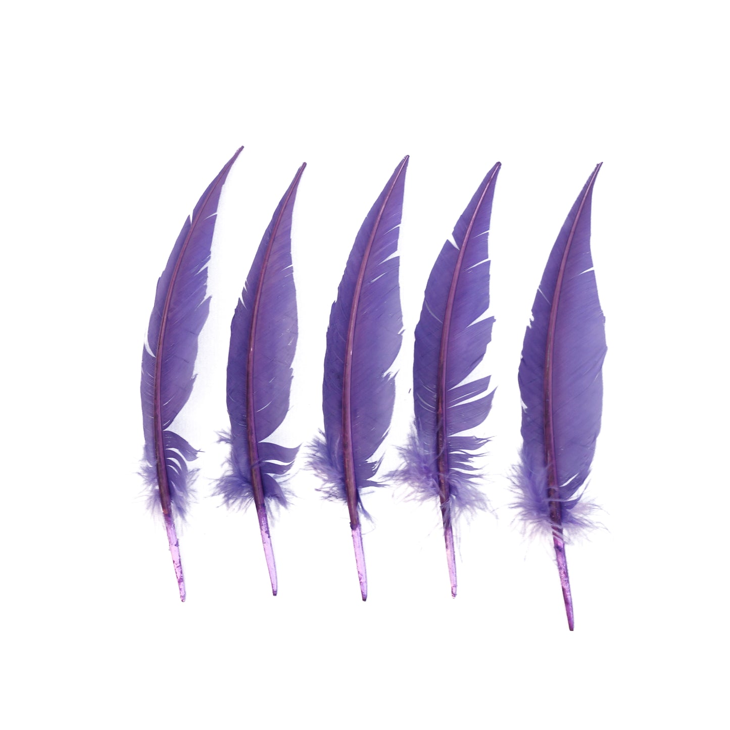 Lavender Dagger Turkey Quill Feathers 9-12"