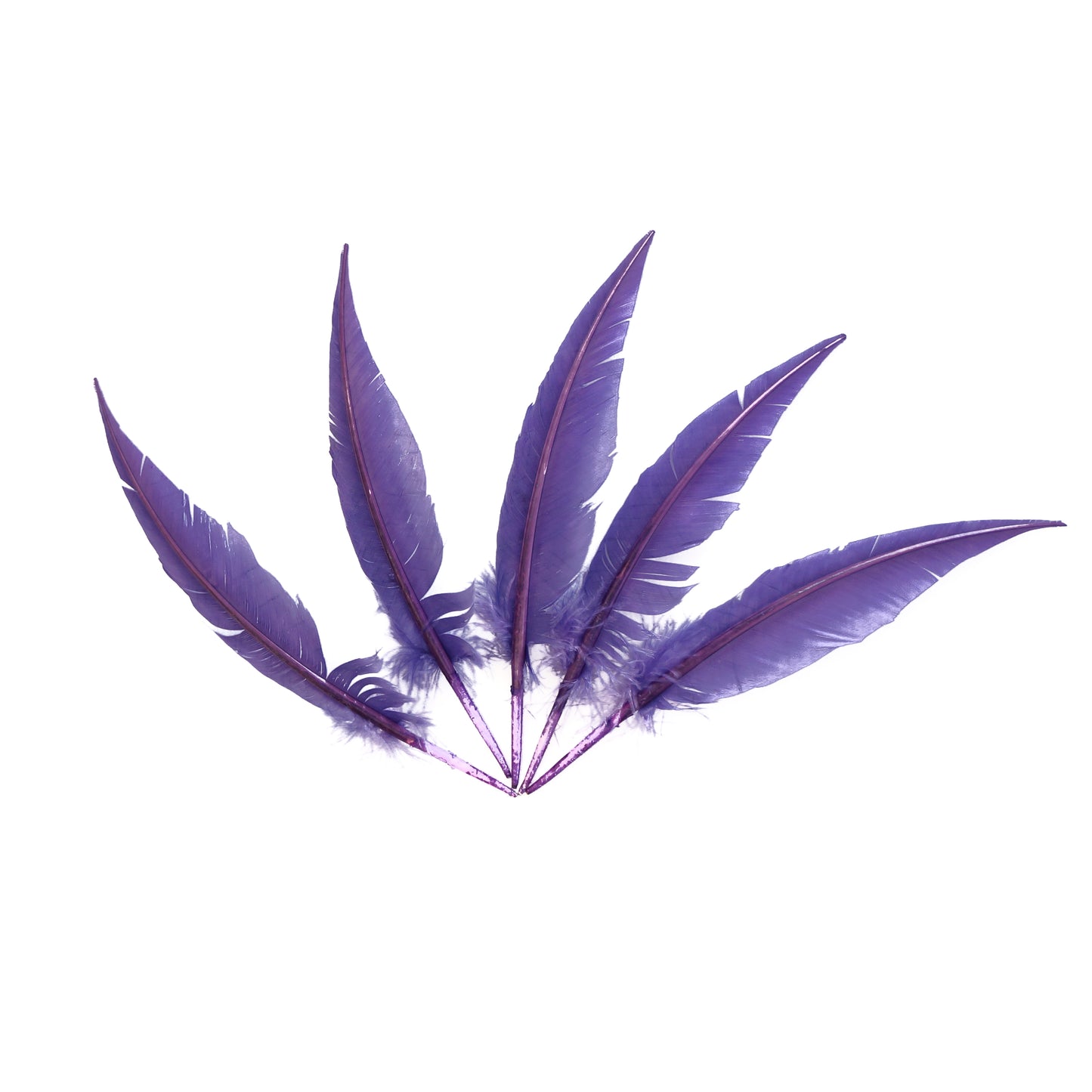 Lavender Dagger Turkey Quill Feathers 9-12"