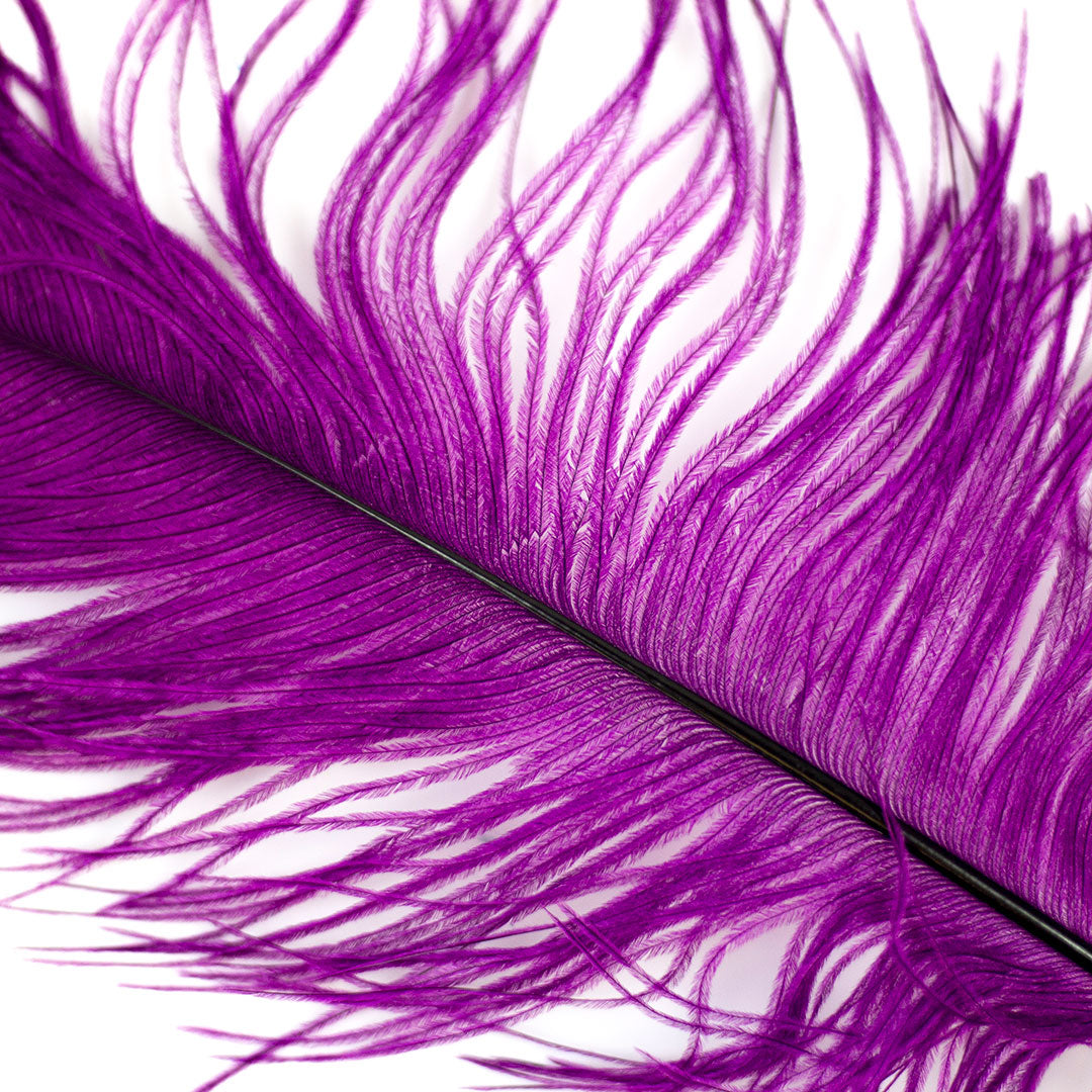 Ostrich Feathers - 16-18" Tail Feathers - Purple