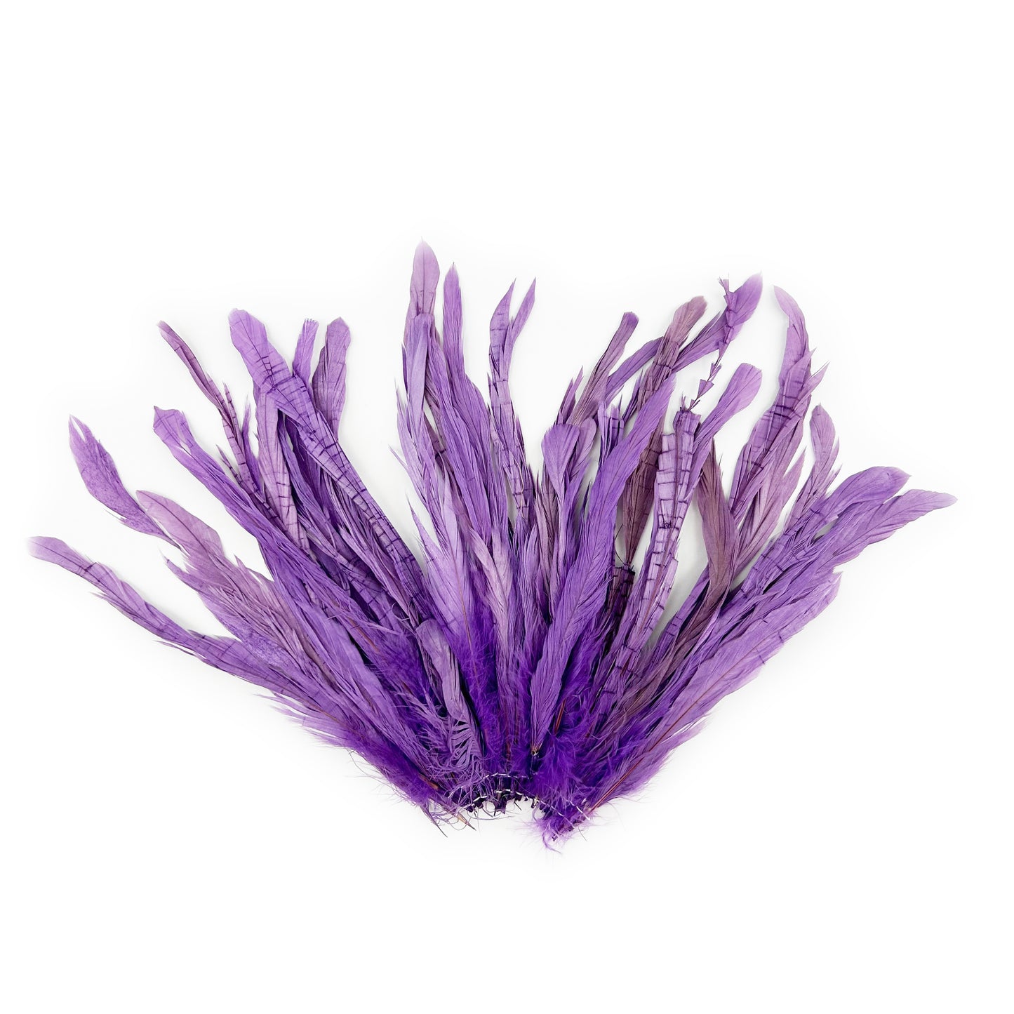 ROOSTER COQUE TAIL FEATHERS BLEACH DYED 7-10” - 25 PC/PKG - Flourescent Lilac