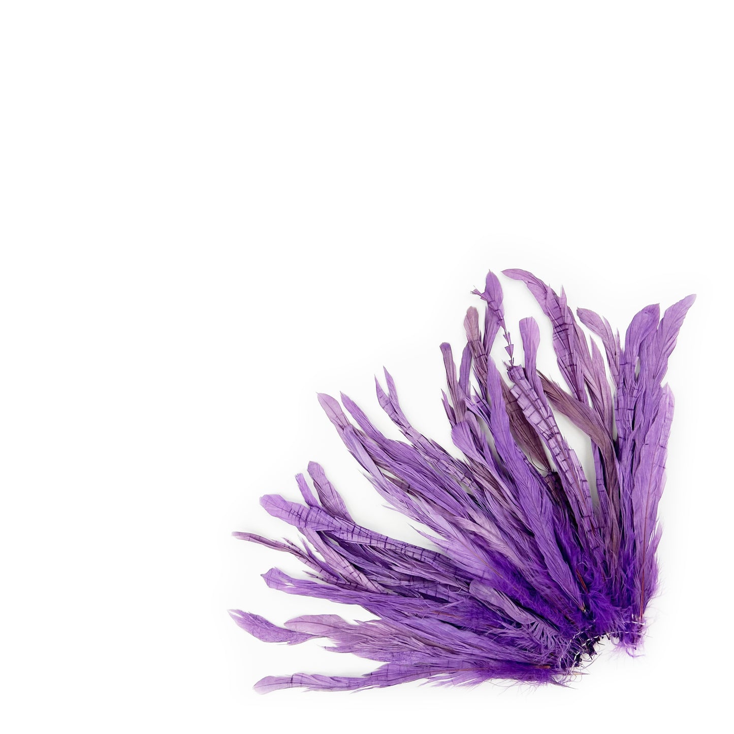 ROOSTER COQUE TAIL FEATHERS BLEACH DYED 7-10” - 25 PC/PKG - Flourescent Lilac