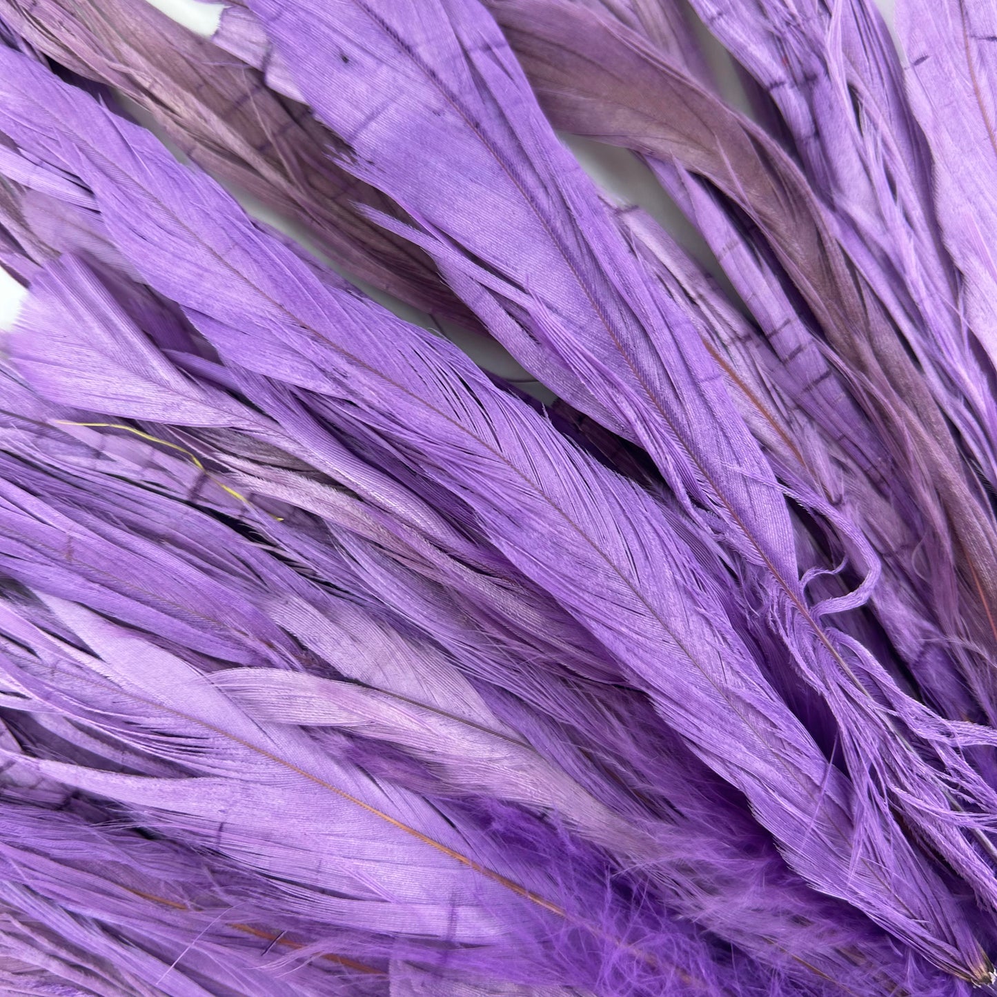 ROOSTER COQUE TAIL FEATHERS BLEACH DYED 7-10” - 25 PC/PKG - Flourescent Lilac