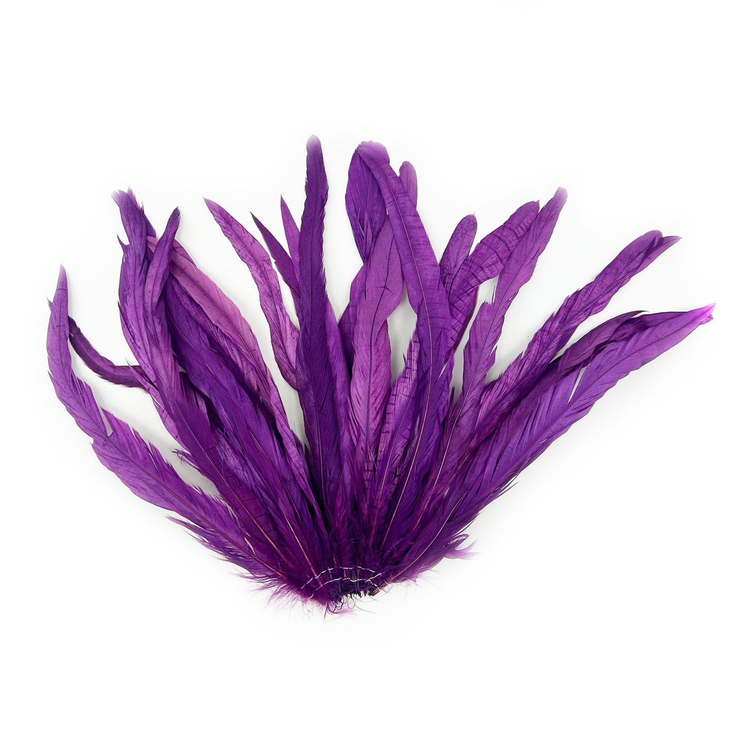 ROOSTER COQUE TAIL FEATHERS BLEACH DYED 7-10” - 25 PC/PKG - Purple