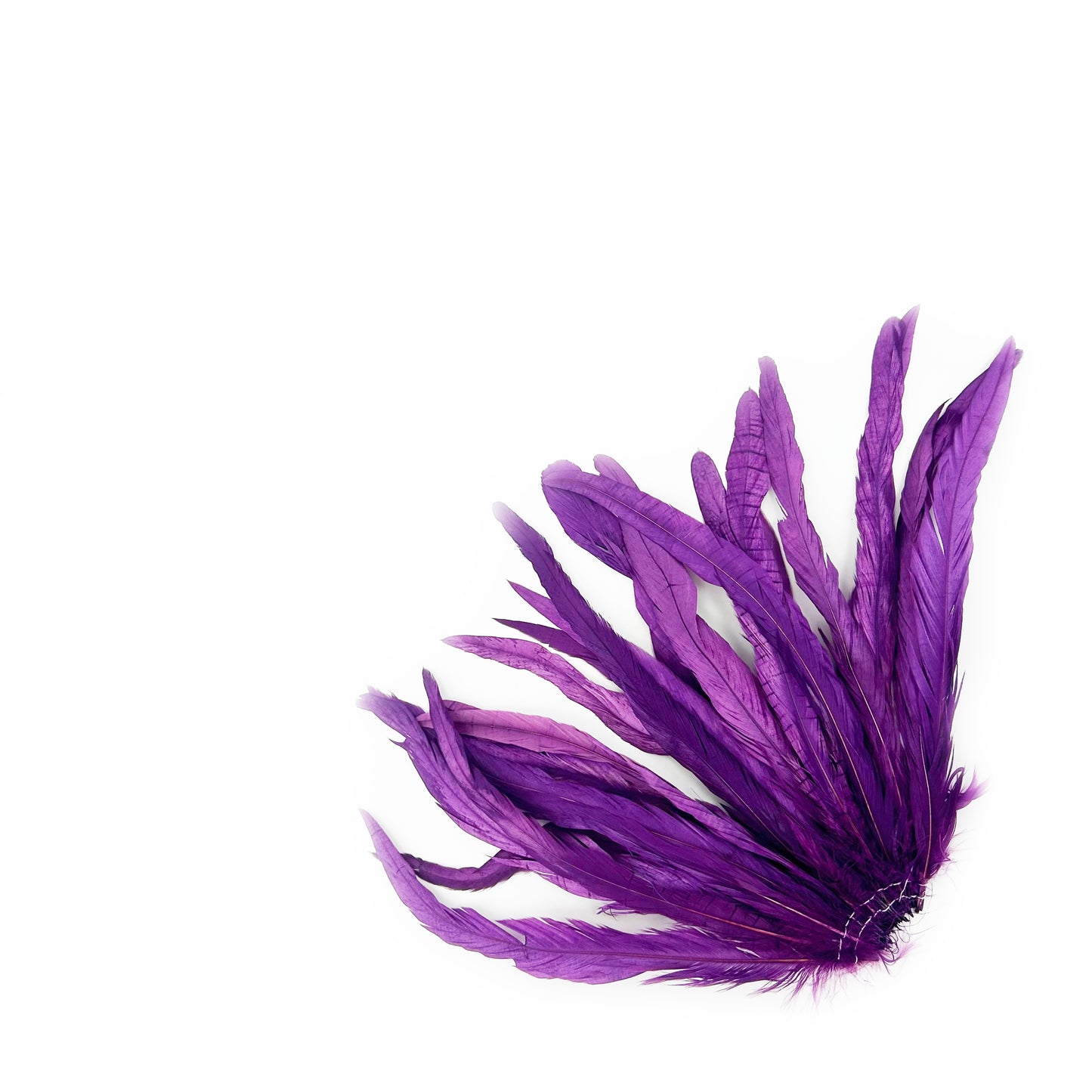 ROOSTER COQUE TAIL FEATHERS BLEACH DYED 7-10” - 25 PC/PKG - Purple
