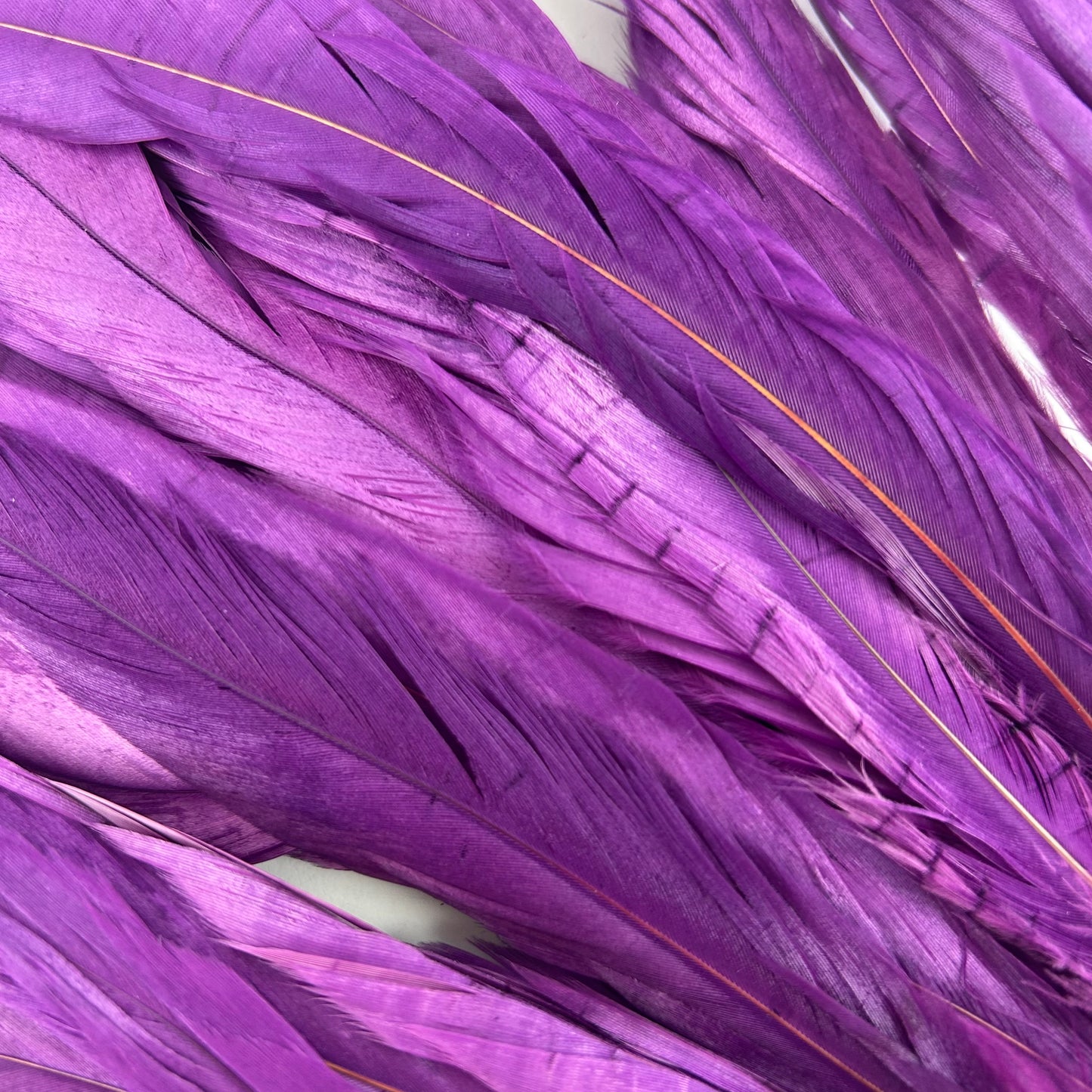 ROOSTER COQUE TAIL FEATHERS BLEACH DYED 7-10” - 25 PC/PKG - Purple