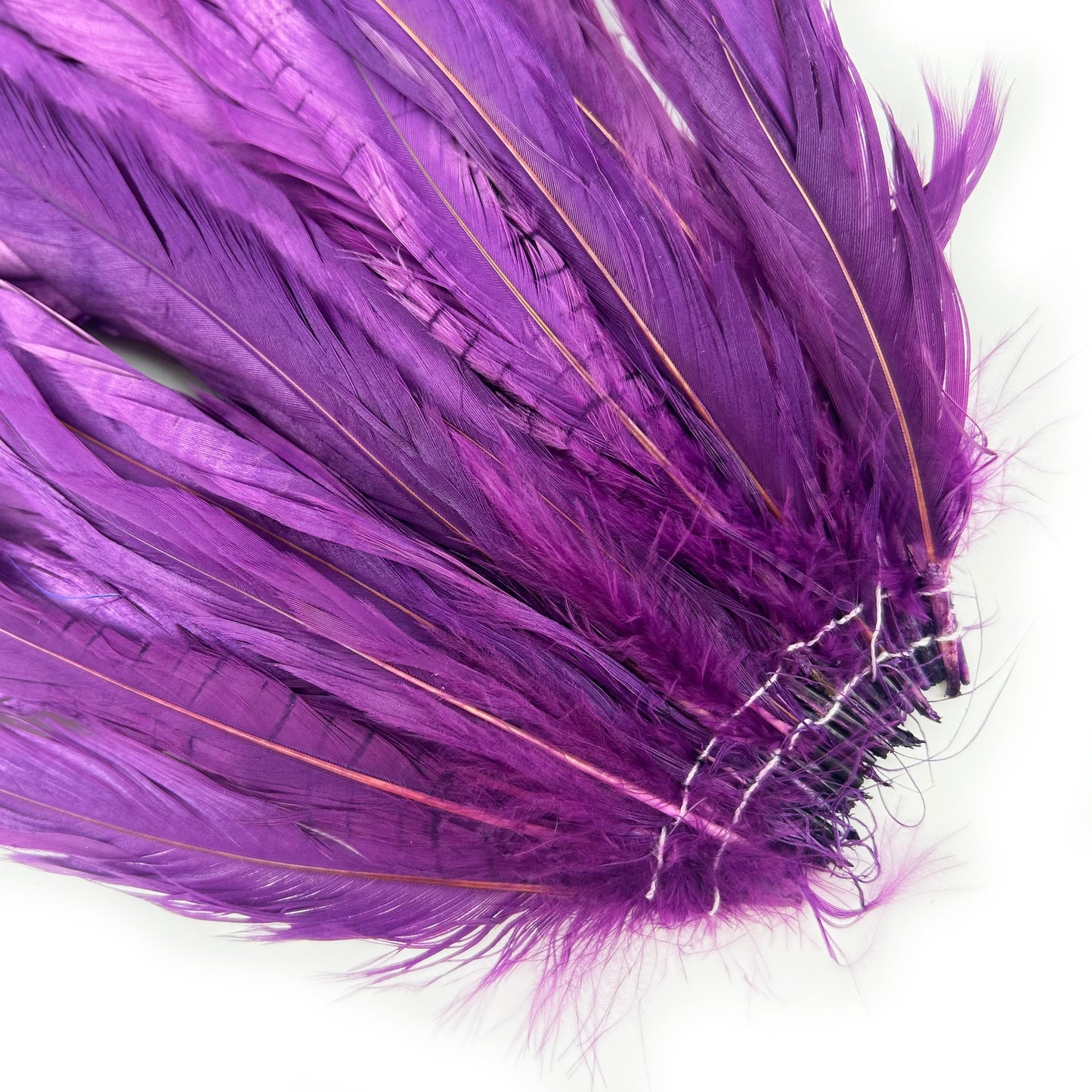 ROOSTER COQUE TAIL FEATHERS BLEACH DYED 7-10” - 25 PC/PKG - Purple