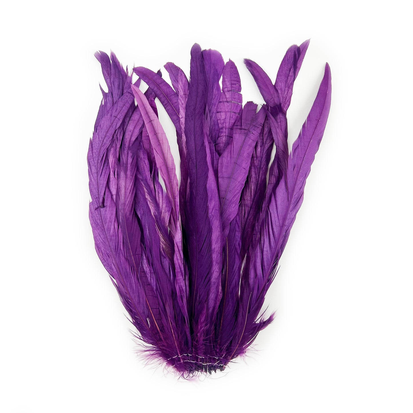 ROOSTER COQUE TAIL FEATHERS BLEACH DYED 7-10” - 25 PC/PKG - Purple