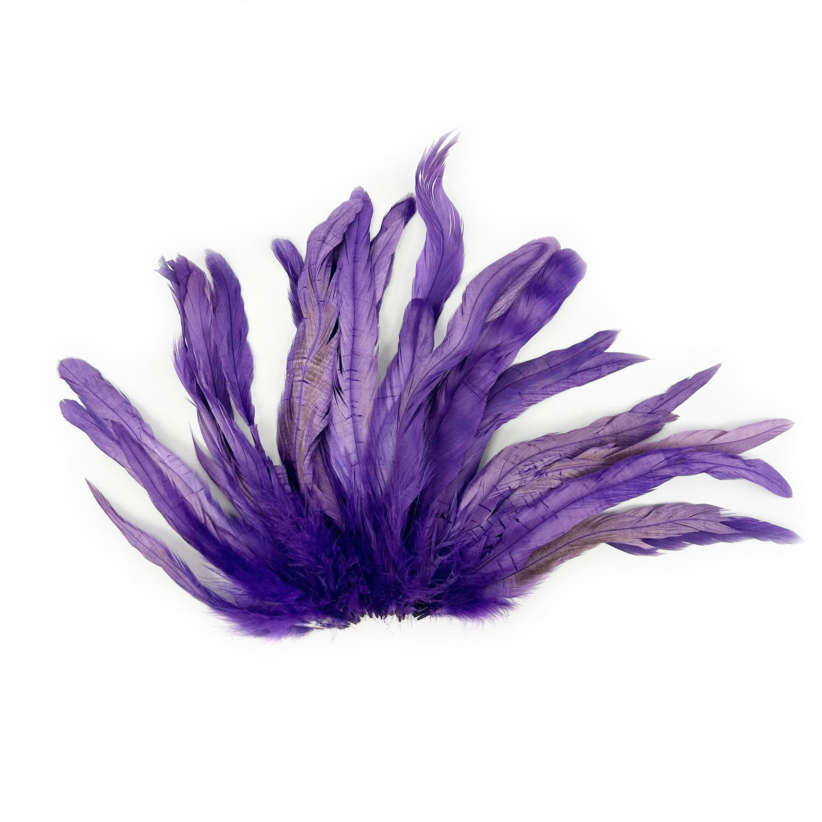 ROOSTER COQUE TAIL FEATHERS BLEACH DYED 7-10” - 25 PC/PKG - Regal