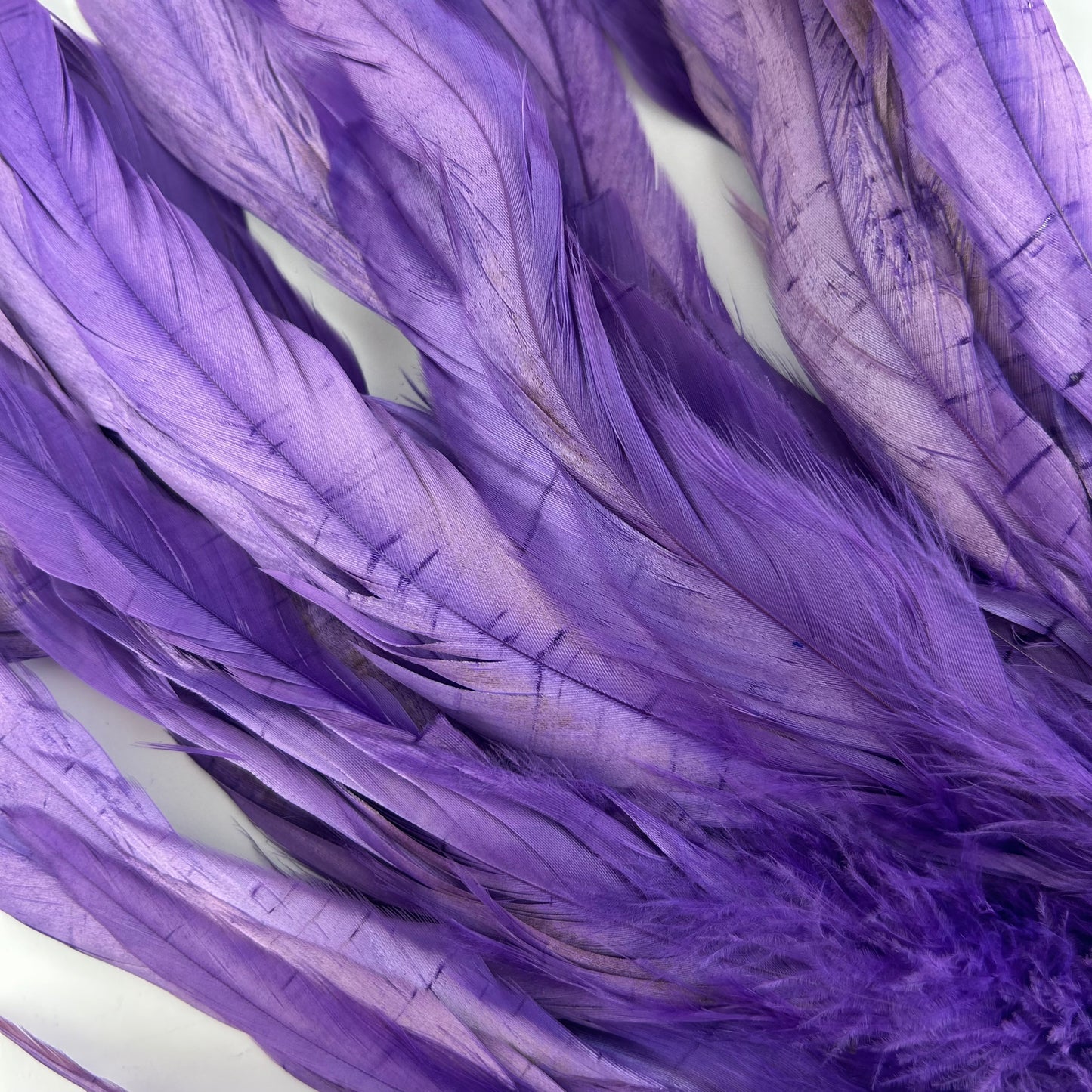 ROOSTER COQUE TAIL FEATHERS BLEACH DYED 7-10” - 25 PC/PKG - Regal