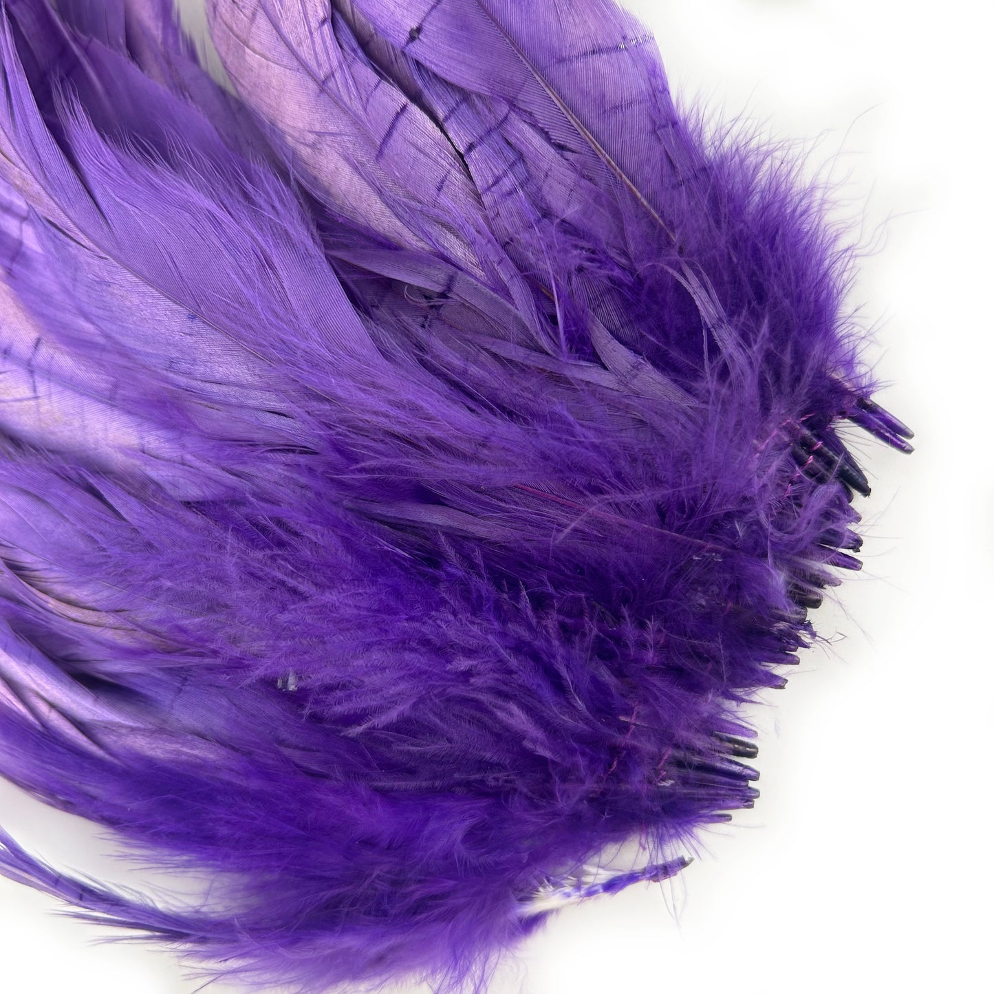 ROOSTER COQUE TAIL FEATHERS BLEACH DYED 7-10” - 25 PC/PKG - Regal