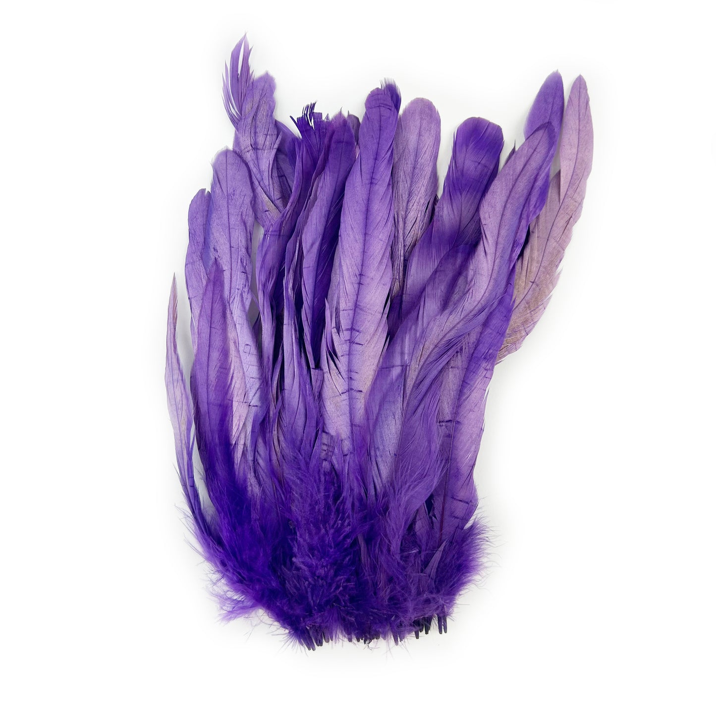 ROOSTER COQUE TAIL FEATHERS BLEACH DYED 7-10” - 25 PC/PKG - Regal