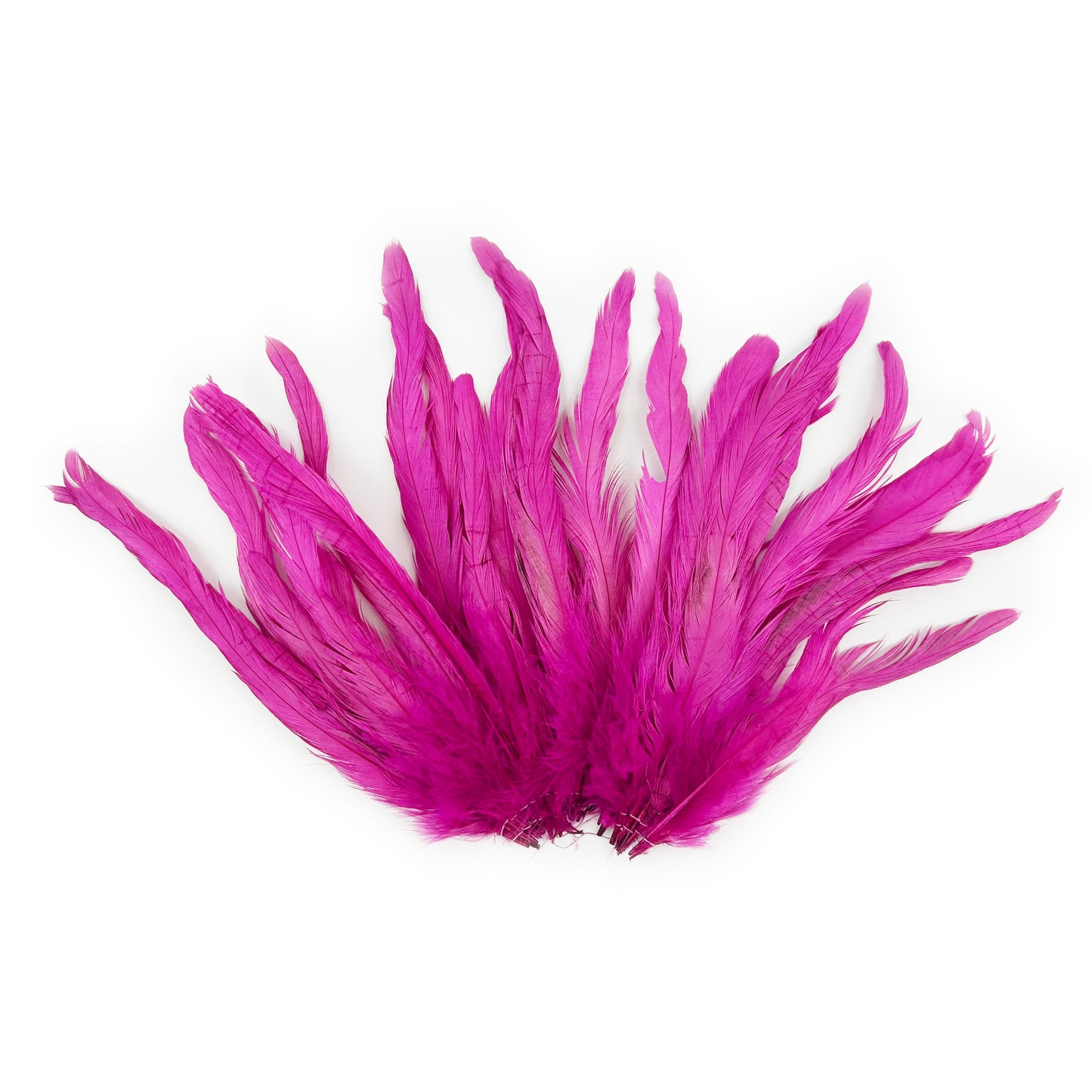 ROOSTER COQUE TAIL FEATHERS BLEACH DYED 7-10” - 25 PC/PKG - Very Berry