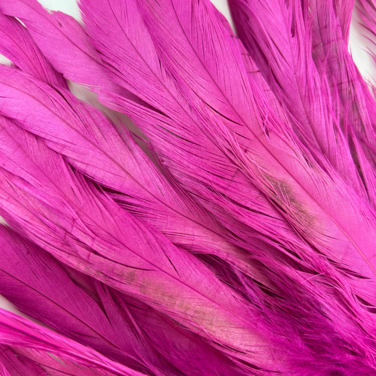 ROOSTER COQUE TAIL FEATHERS BLEACH DYED 7-10” - 25 PC/PKG - Very Berry