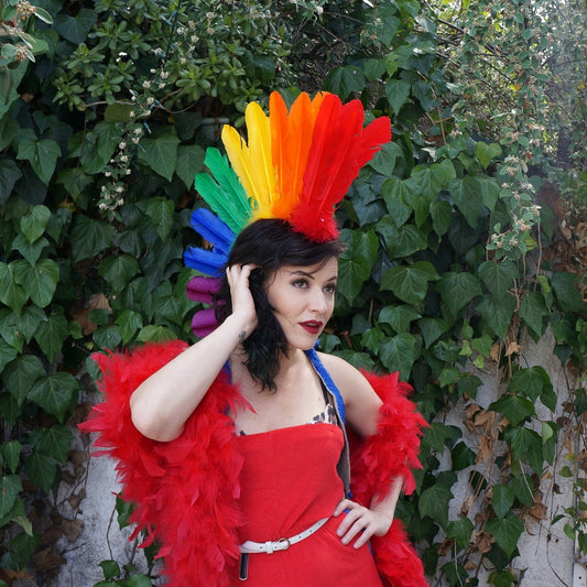 Rainbow Feather Mohawk - Quills - Feathers