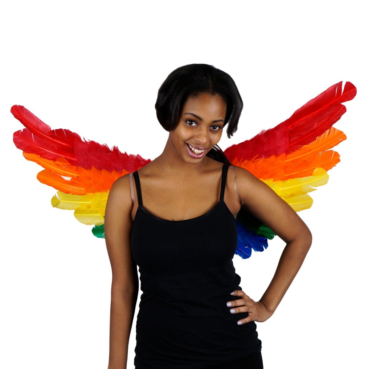 Rainbow Feather Wings - Feathers