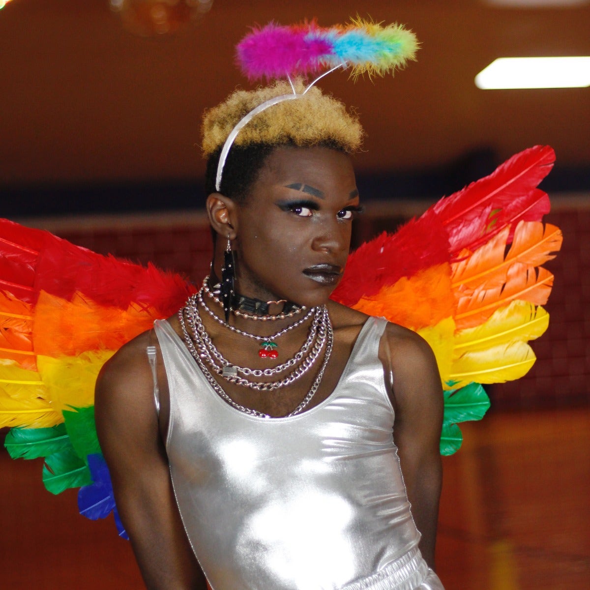 Rainbow Feather Wings - Feathers