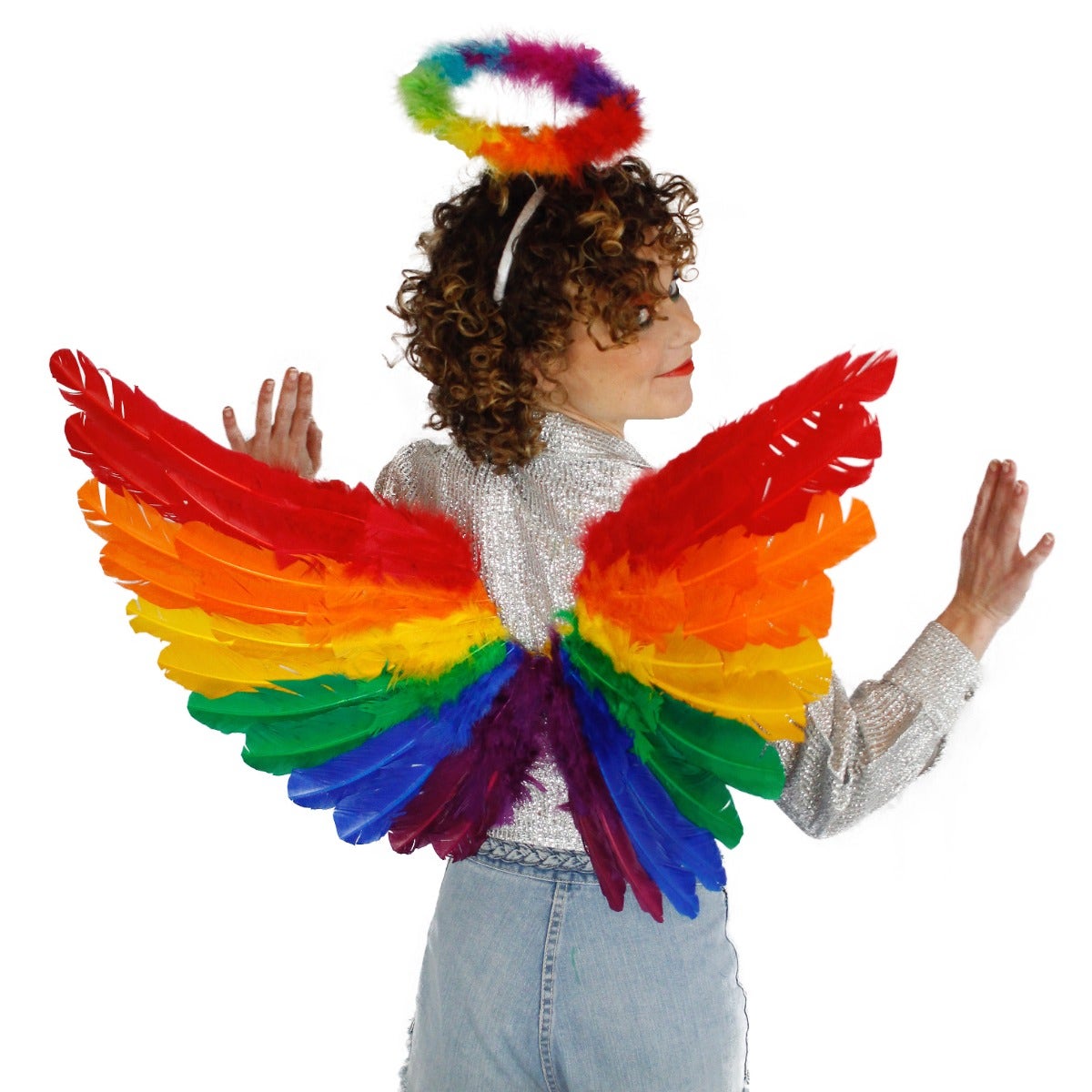 Rainbow Feather Wings - Feathers