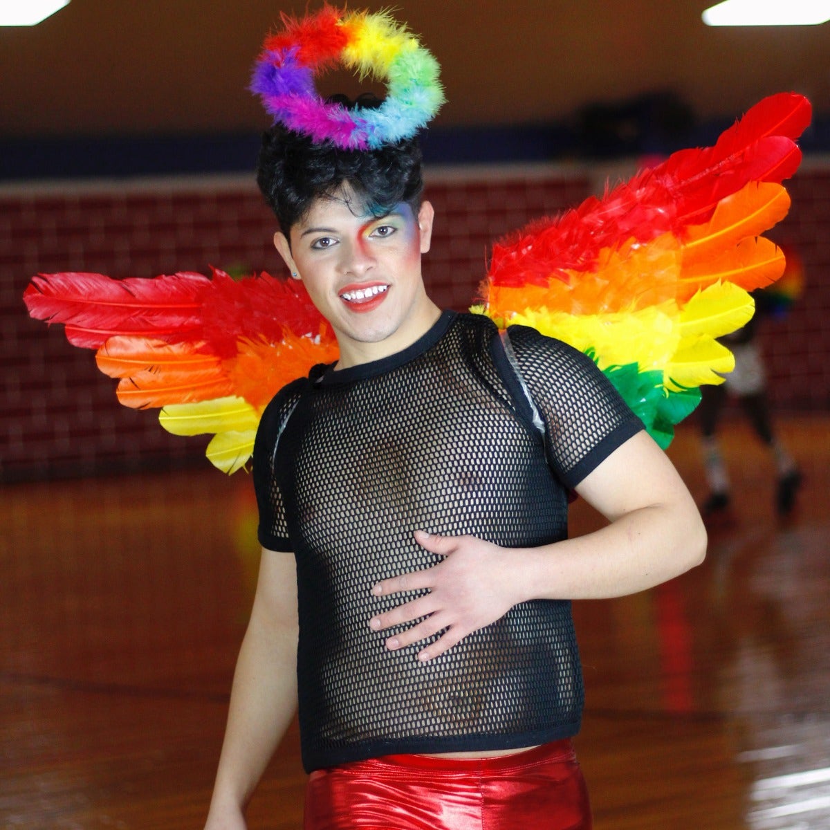 Rainbow Feather Wings - Feathers