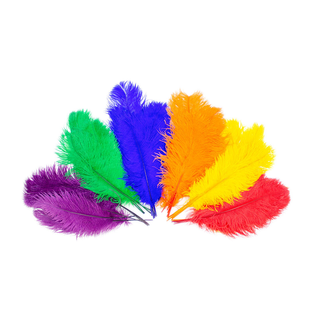1 Rainbow Ostrich Feather Small a la carte Dreamcatchers Smudge