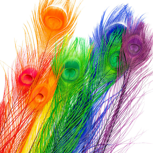 Rainbow Peacock Feathers | Long Rainbow Feathers | Peacock Eyes