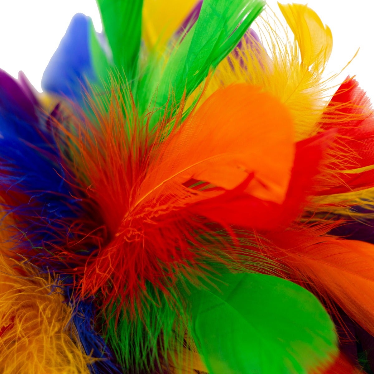 Rainbow Puff Fascinator - Feathers