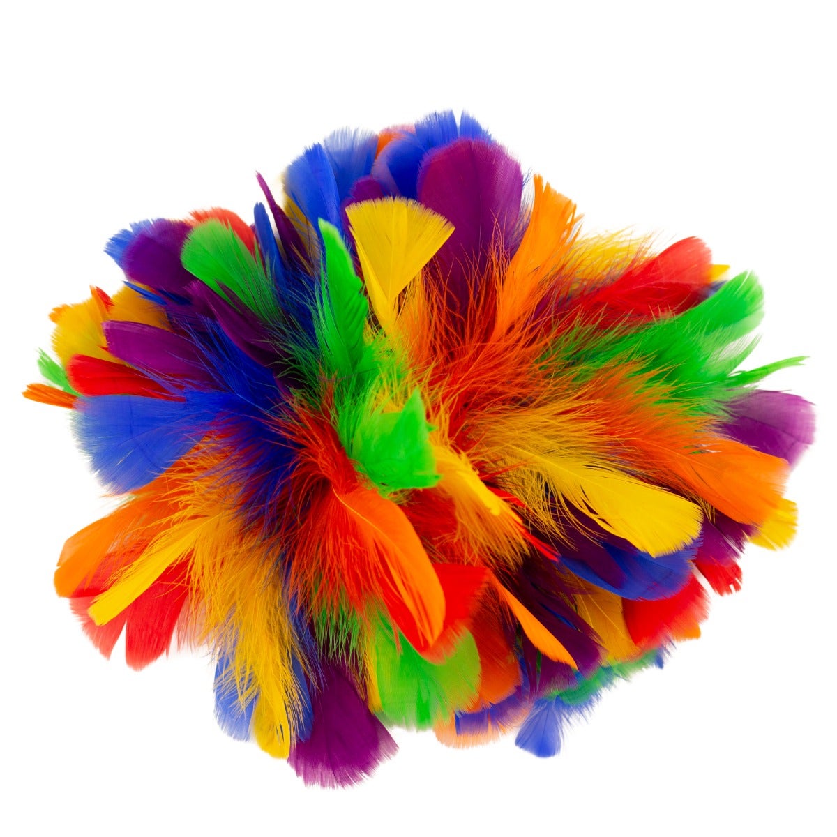 Rainbow Puff Fascinator - Feathers