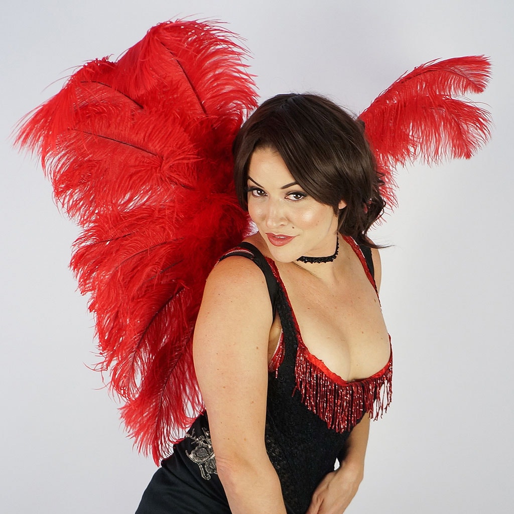 Large Ostrich Feather Wings - Red