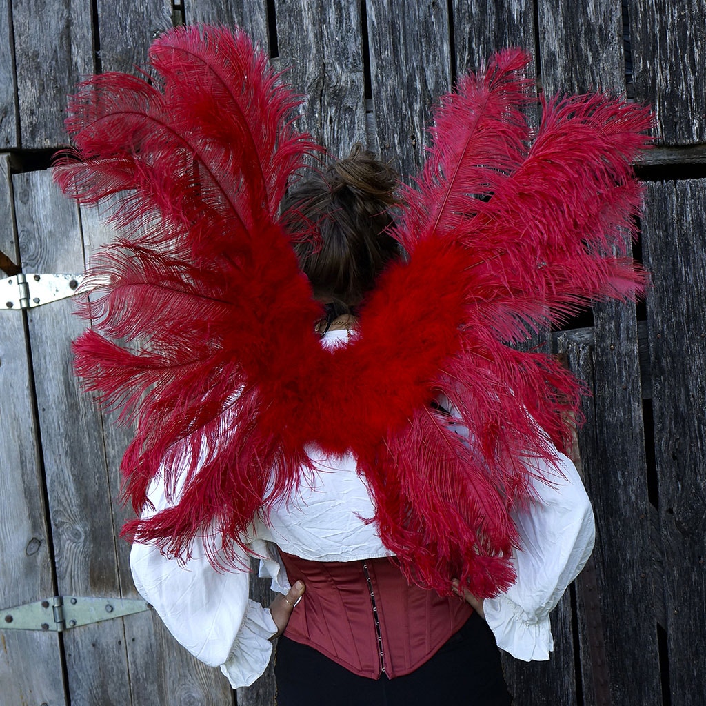 Large Ostrich Feather Wings - Red